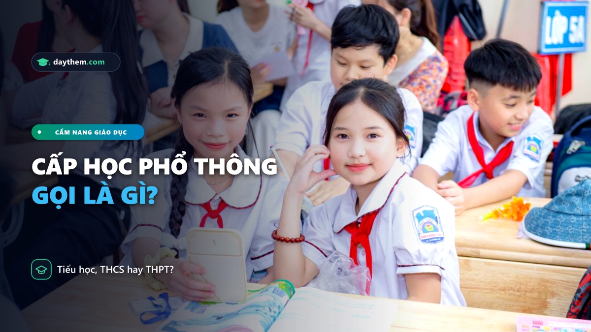 Cấp 1, cấp 2, cấp 3 gọi là gì