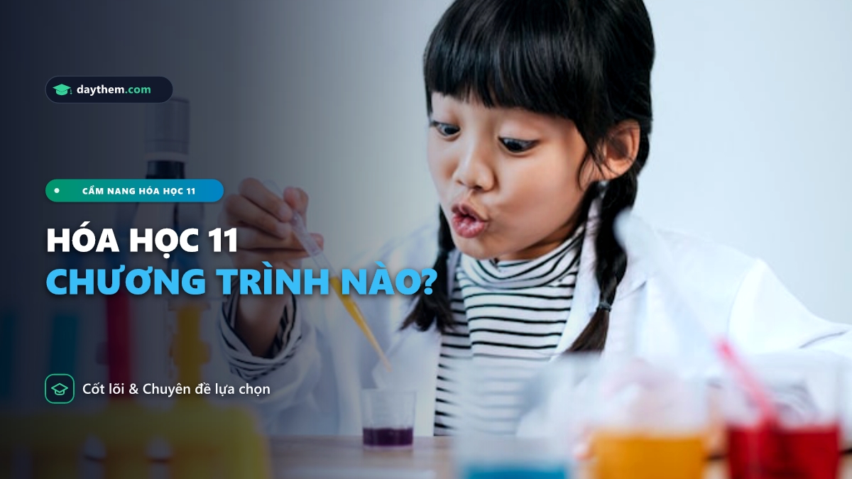 Hóa học 11 có những chuyên đề nào