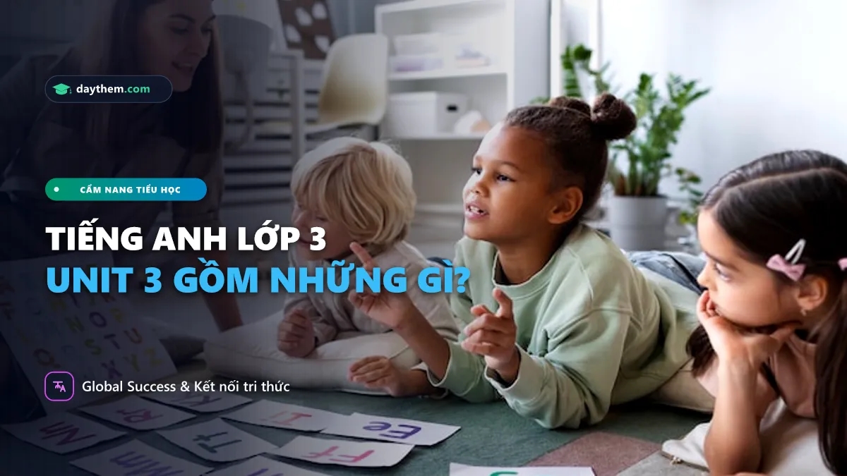 Từ vựng tiếng Anh lớp 3 Unit 3 là gì