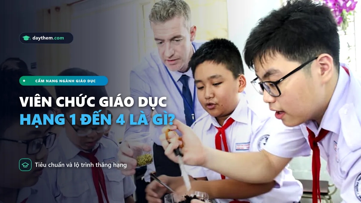 Viên chức hạng 1, 2, 3, 4 là gì