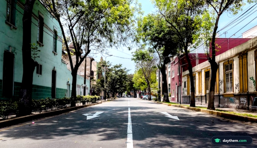 suburban road on a sunny day