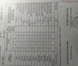 Bằng cấp 3