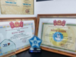 Bằng cấp 1