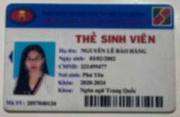 Bằng cấp 1