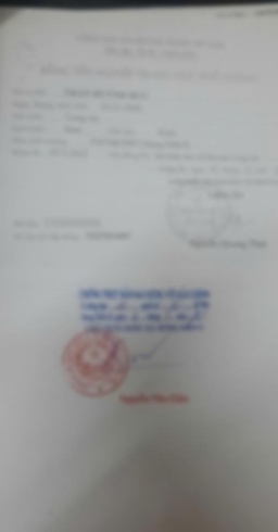 Bằng cấp 1