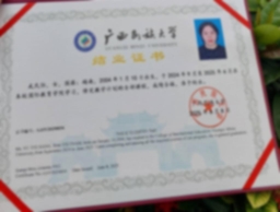 Bằng cấp 1