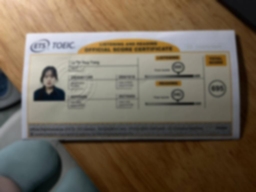 Bằng cấp 1