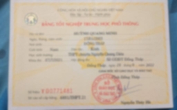 Bằng cấp 1