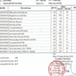 Bằng cấp 1