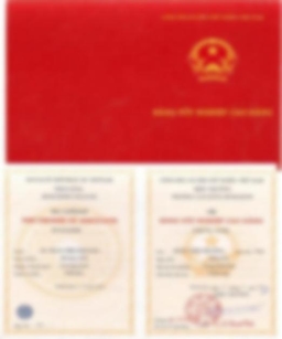 Bằng cấp 1