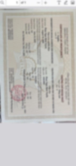Bằng cấp 1