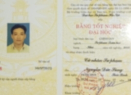 Bằng cấp 1