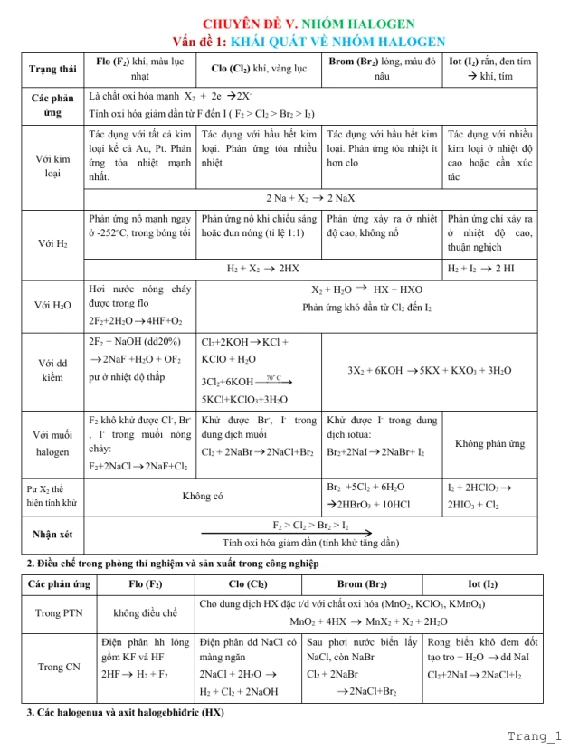 Chuyên đề nhóm halogen có tóm tắt các kiến thức cơ bản và bài tập - Thumbnail