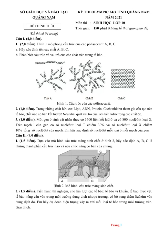 Đề Thi Olympic Sinh 10 Sở GD&ĐT Quảng Nam 2021 - Thumbnail