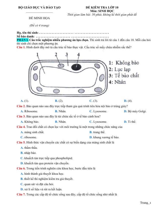 Đề Kiểm Tra Minh Họa Sinh Học 10 Bộ Giáo Dục Và Đào Tạo - Thumbnail
