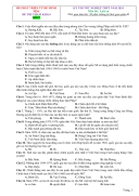 Đề Luyện Thi Tốt Nghiệp THPT Môn Lịch Sử 2024 Bám Sát Minh Họa Giải Chi Tiết - Đề 17 - Thumbnail