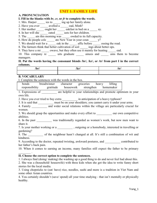 Bài Tập Làm Thêm Tiếng Anh 10 Unit 1 Family Life - Thumbnail