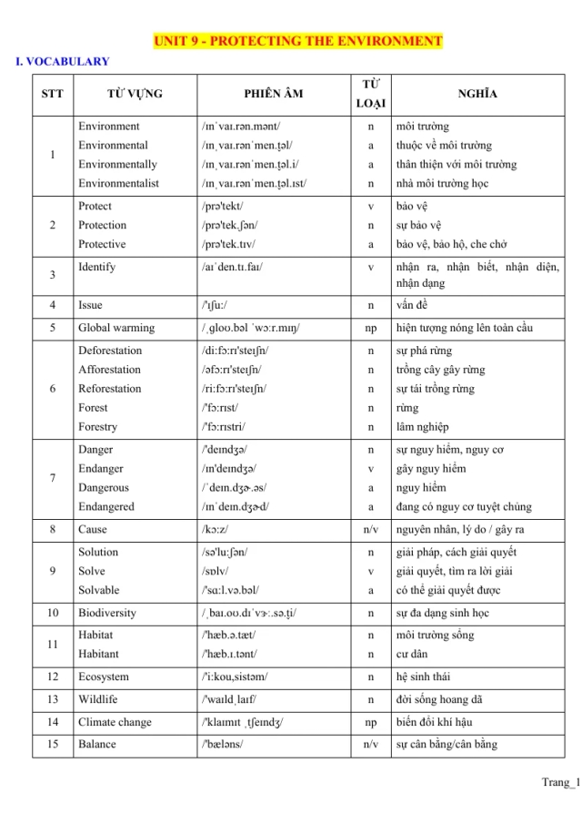 Bài Tập Luyện Tập Tiếng Anh 10 Unit 9 Protecting The Environment - Thumbnail