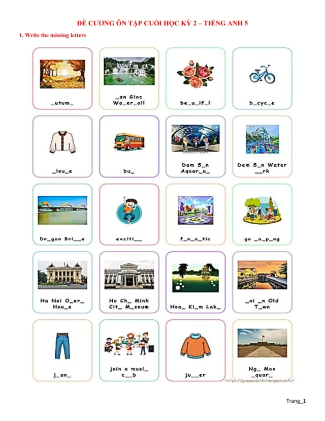 Đề Cương Ôn Tập HK2 Tiếng Anh 5 Năm Học 2025 - 2026 - Thumbnail