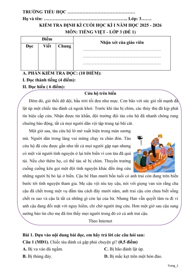 Bộ 5 Đề Ôn Tập Học Kỳ 1 Tiếng Việt 3 2025 - 2026 - Thumbnail
