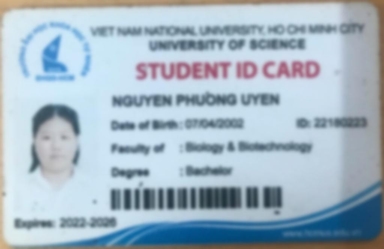 Bằng cấp của Sinh viên dạy kèm Nguyễn Phương Uyên Trường Khoa học Tự nhiên TPHCM Đại học quốc gia