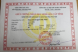 Bằng cấp 4