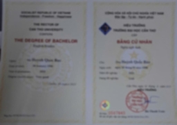 Bằng cấp 1