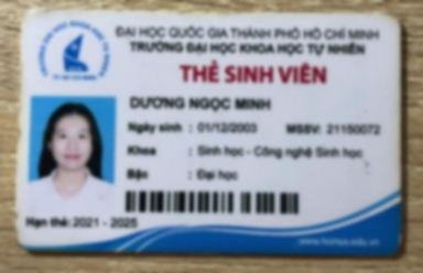 Bằng cấp của Sinh viên dạy kèm Dương Ngọc Minh Không