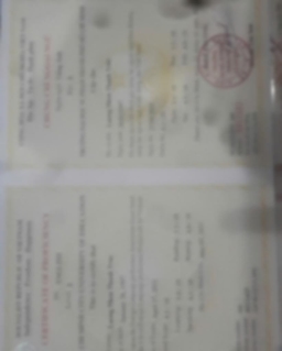 Bằng cấp 1