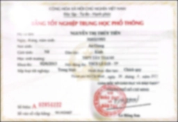Bằng cấp 2