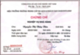 Bằng cấp 3