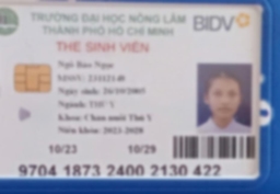 Bằng cấp 1