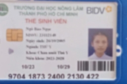 Bằng cấp 1