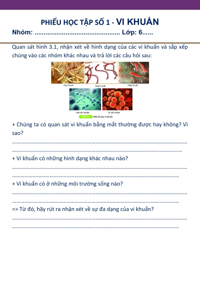 Giáo án PowerPoint môn KHTN 6 Bài 27: Vi Khuẩn - Thumbnail