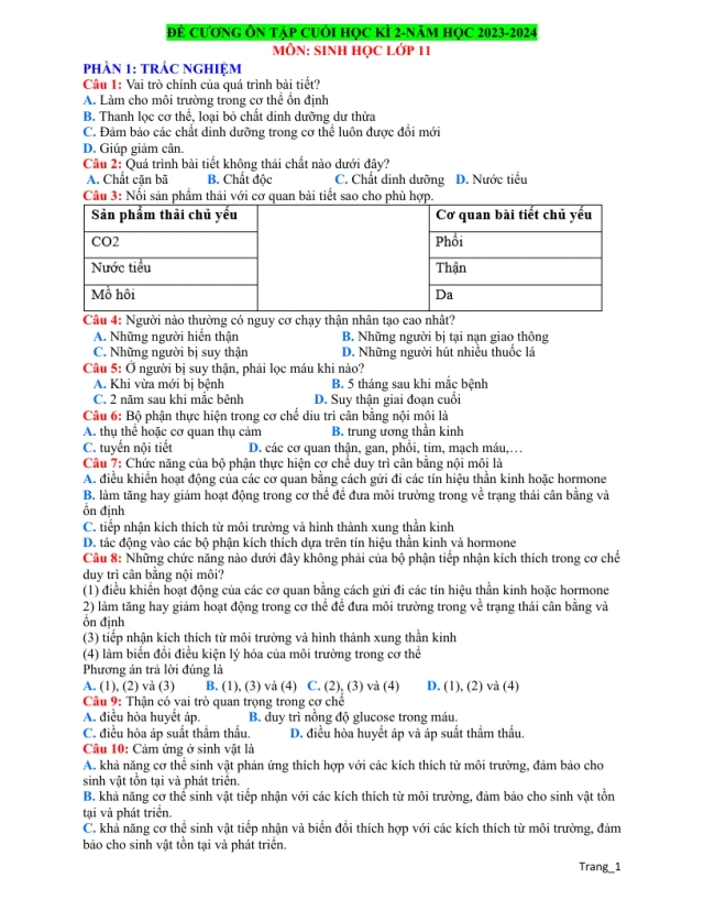 Đề Cương Ôn Tập Học Kỳ 2 Sinh 11 - Thumbnail