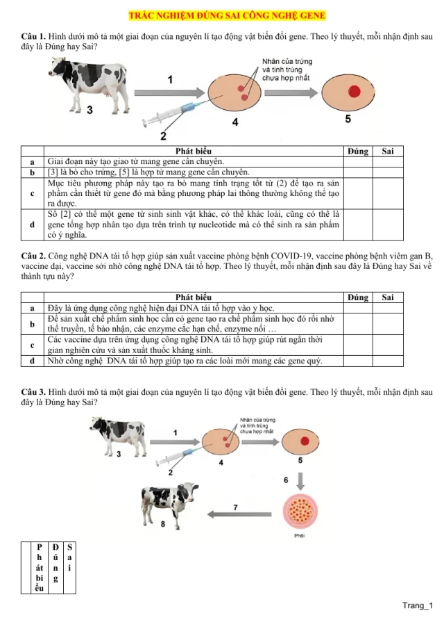 10 Câu Trắc Nghiệm Đúng Sai Công Nghệ Gene Sinh 12 - Thumbnail
