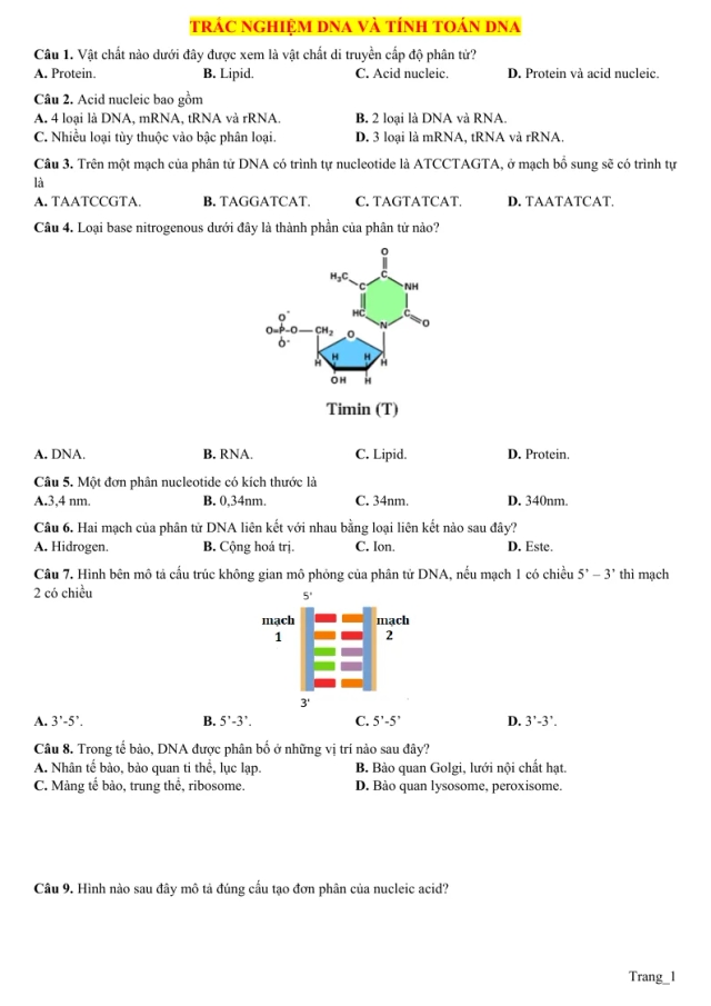 70 Câu Trắc Nghiệm DNA Và Tính Toán DNA Sinh 12 - Thumbnail