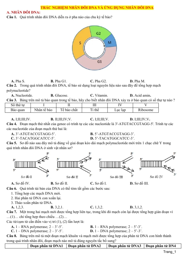 80 Câu Trắc Nghiệm Nhân Đôi DNA Và Ứng Dụng Nhân Đôi DNA Sinh 12 - Thumbnail
