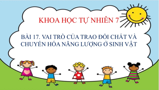 Giáo Án PowerPoint Môn Sinh 7 Bài 17 Vai Trò Của Trao Đổi Chất Và Chuyển Hóa Năng Lượng Ở Sinh Vật - Thumbnail
