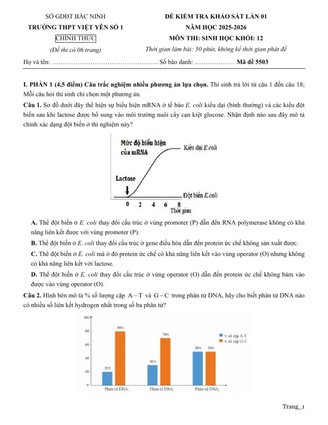 Đề Thi Thử Tốt Nghiệp 2026 Môn Sinh THPT Việt Yên Số 1 Lần 1 - Thumbnail