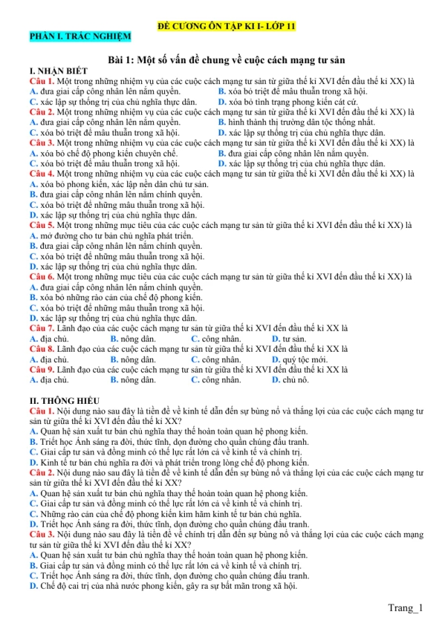 Đề Cương Ôn Tập Học Kỳ 1 Lịch Sử 11 Năm Học 2023 - 2024 - Thumbnail