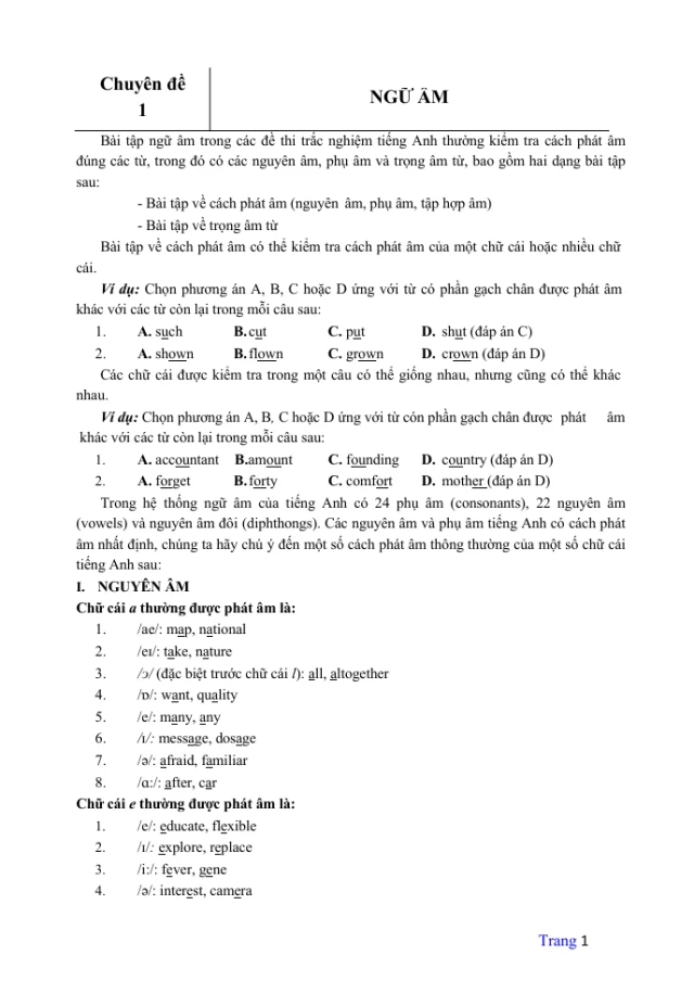 Tổng Hợp Các Chuyên Đề Tiếng Anh Luyện Thi THPT Quốc Gia - File Word - Thumbnail