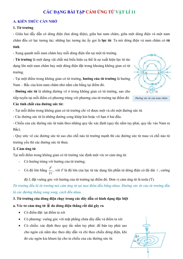 Các Dạng Bài Tập Cảm Ứng Từ Lý 11 - Thumbnail