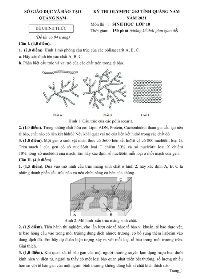Đề Thi Olympic Sinh 10 Sở GD&ĐT Quảng Nam 2021 - Thumbnail
