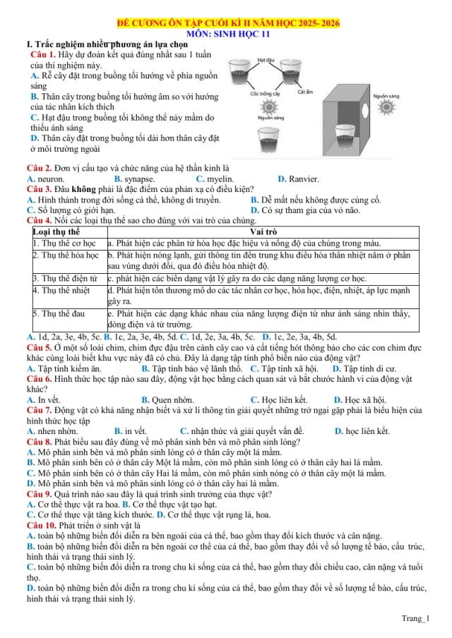 Đề Cương Ôn Tập HK2 Sinh 11 Năm Học 2025 - 2026 - Thumbnail