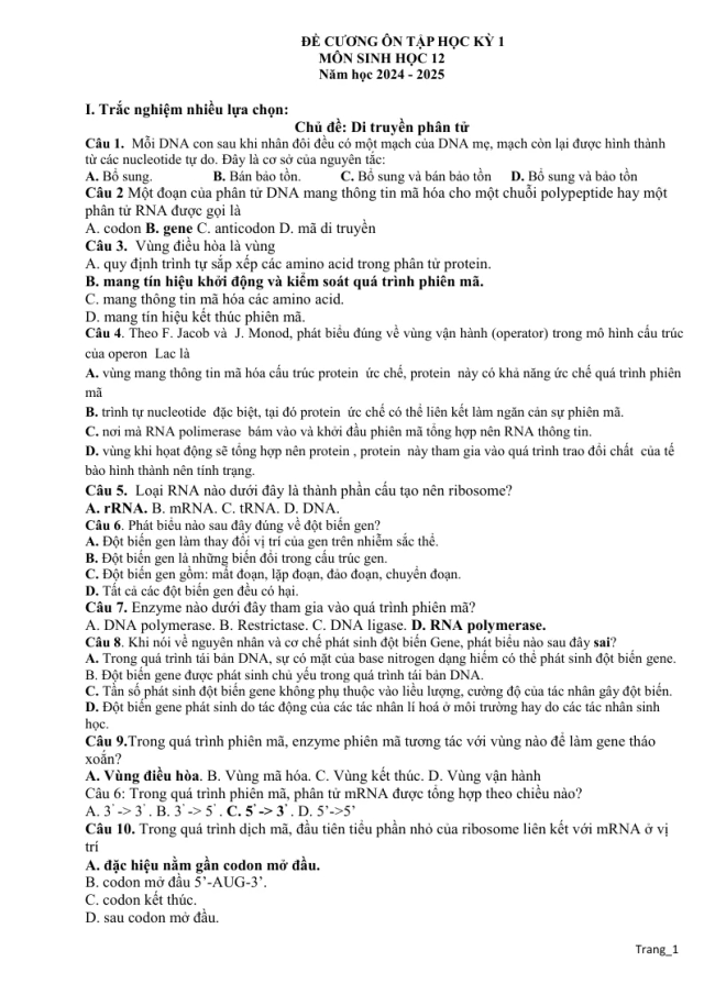 Đề Cương Ôn Tập HK1 Sinh 12 2024 - 2025 - Thumbnail