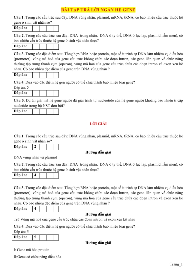 10 Bài Tập Trả Lời Ngắn Hệ Gene Sinh 12 - Thumbnail