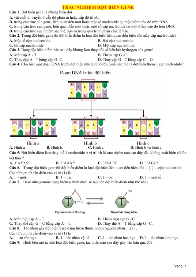 80 Câu Trắc Nghiệm Đột Biến Gene Sinh 12 - Thumbnail