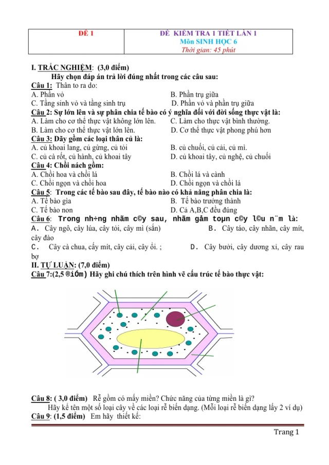 10 Đề Kiểm Tra 1 Tiết Sinh Học 6 Học Kì 1 - Thumbnail