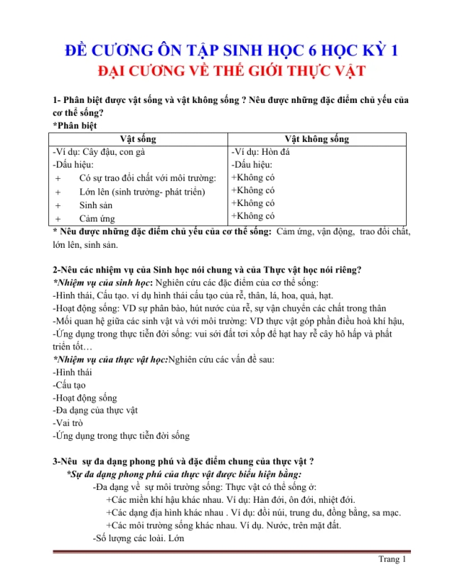 Đề Cương Ôn Thi Sinh Học 6 HK1 - Thumbnail